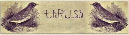 THRUSH