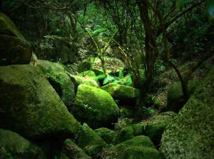 Image by: BessaAlmeida (http://mrg.bz/X2JPNo)